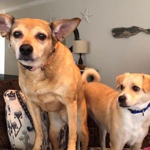 Meet your Posher, Nancy